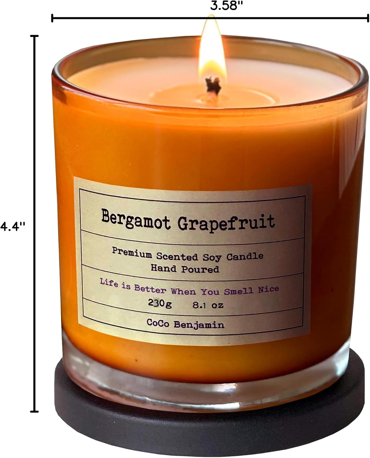100% Natural Soy Wax Candle by CoCo Benjamin - Highly Scented & Hand-Poured Luxury Candle ((Majestic Balsam Fir Trees) - Clean Burning Cotton Wick