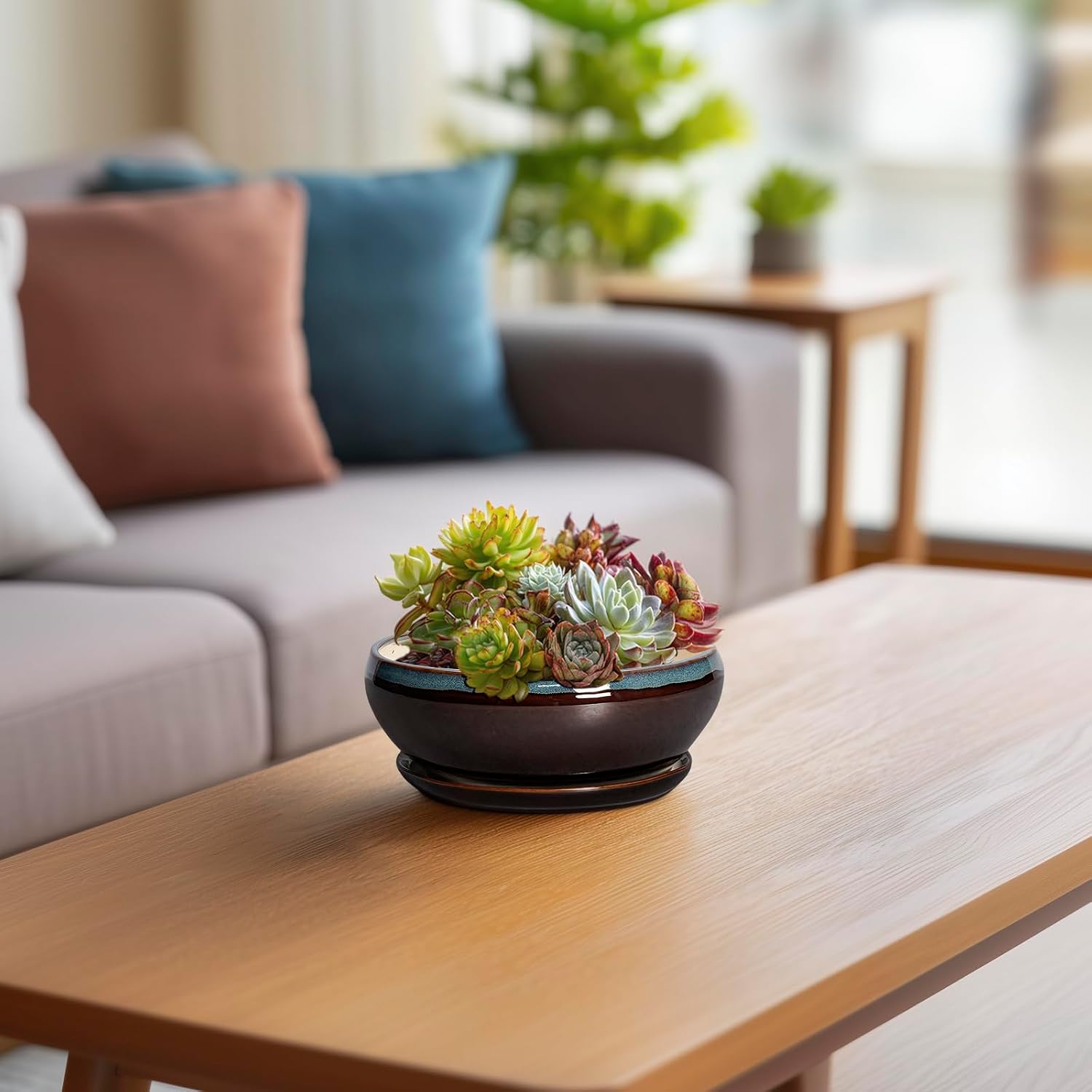SQOWL 7 Inch Round Ceramic Succulent Planter Pot Drip Glazed Shallow Planter with Drainage Bamboo Tray for Indoor Plants