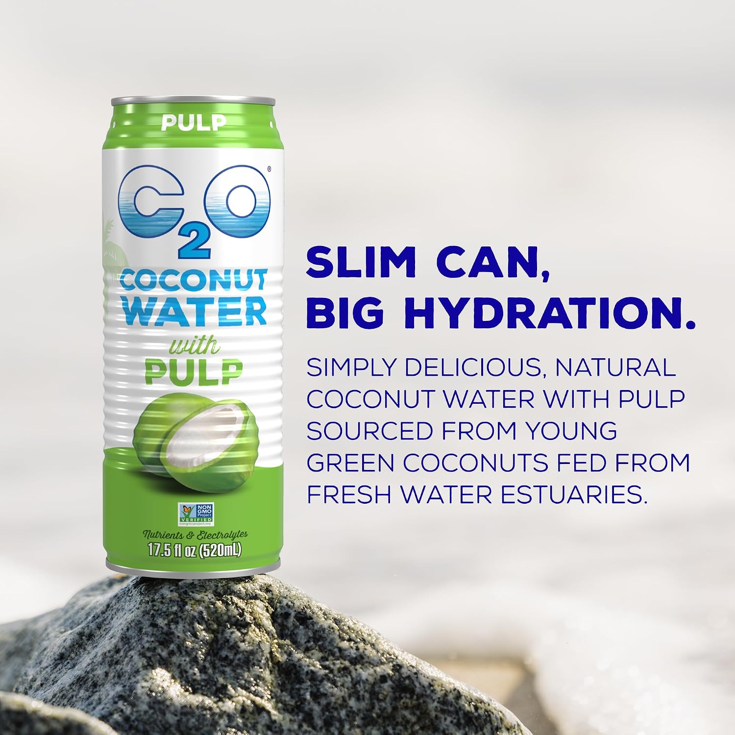 C2O - Coconut Water with Pineapple (12 Pack) - Made with Fresh Coconut Water - Plant Based - Non GMO - Canned Water - Natural Hydration, Essential Electrolytes, & Potassium - 12 Cans, 17.5 FL OZ