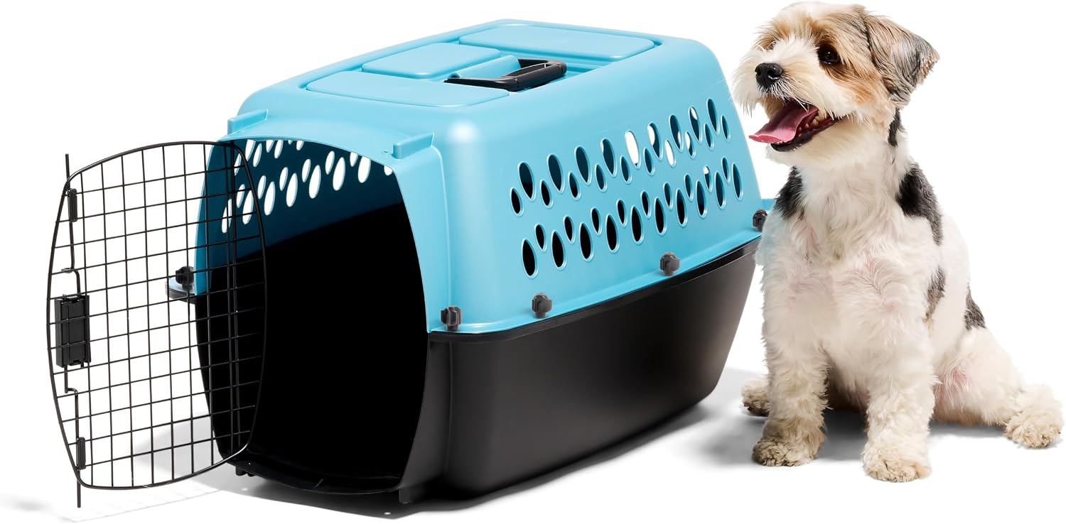 Petmate Fashion Vari Kennel, 19", for Dogs Up to 10 Lbs, 19.1"L x 12.6"W x 10.0"H, Made in USA