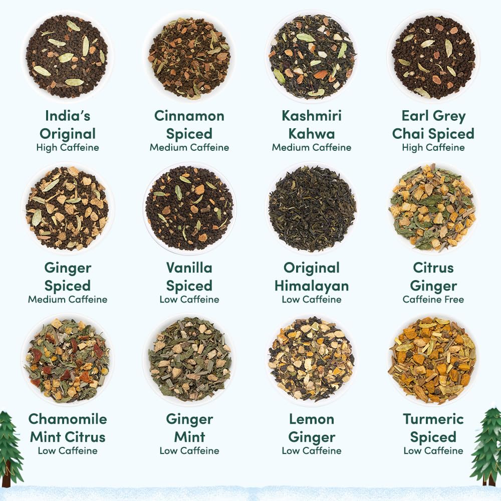 VAHDAM Assorted Green Tea Loose Leaf Tea Gift Set (10 Flavors) | Loose Leaf Green Tea Collection | Includes Himalayan Green Tea Varieties | Packed in Resealable Ziplock Pouches