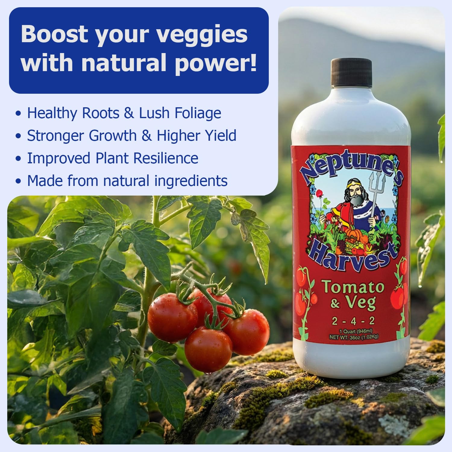 Neptune’s Harvest Organic Tomato & Vegetable Plant Fertilizer (2-4-2) - Liquid Plant Food w/Fresh Fish, Seaweed, Molasses, Yucca Extract, & Humic Acids - for Vegetable Garden (Gallon)
