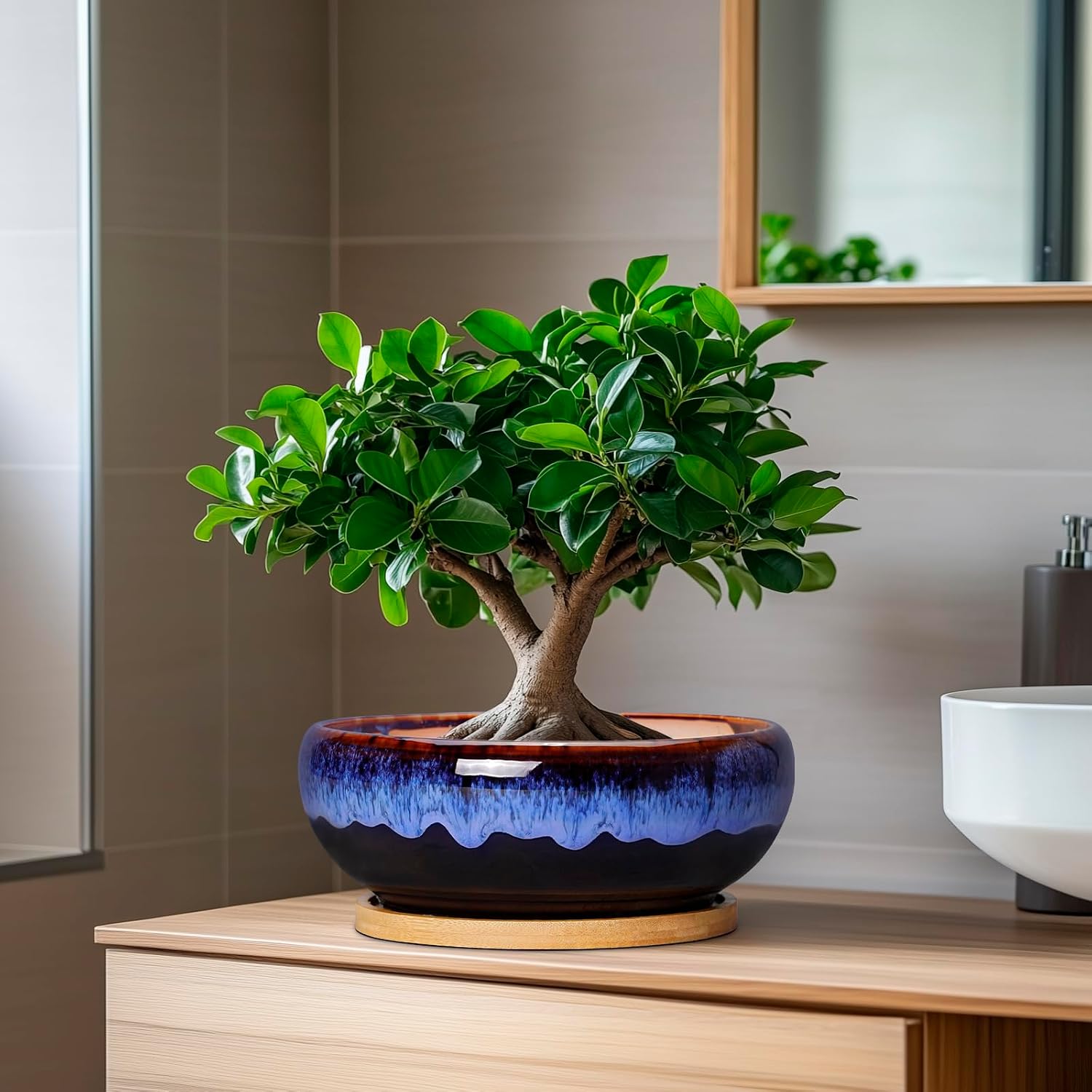SQOWL 7 Inch Round Ceramic Succulent Planter Pot Drip Glazed Shallow Planter with Drainage Bamboo Tray for Indoor Plants