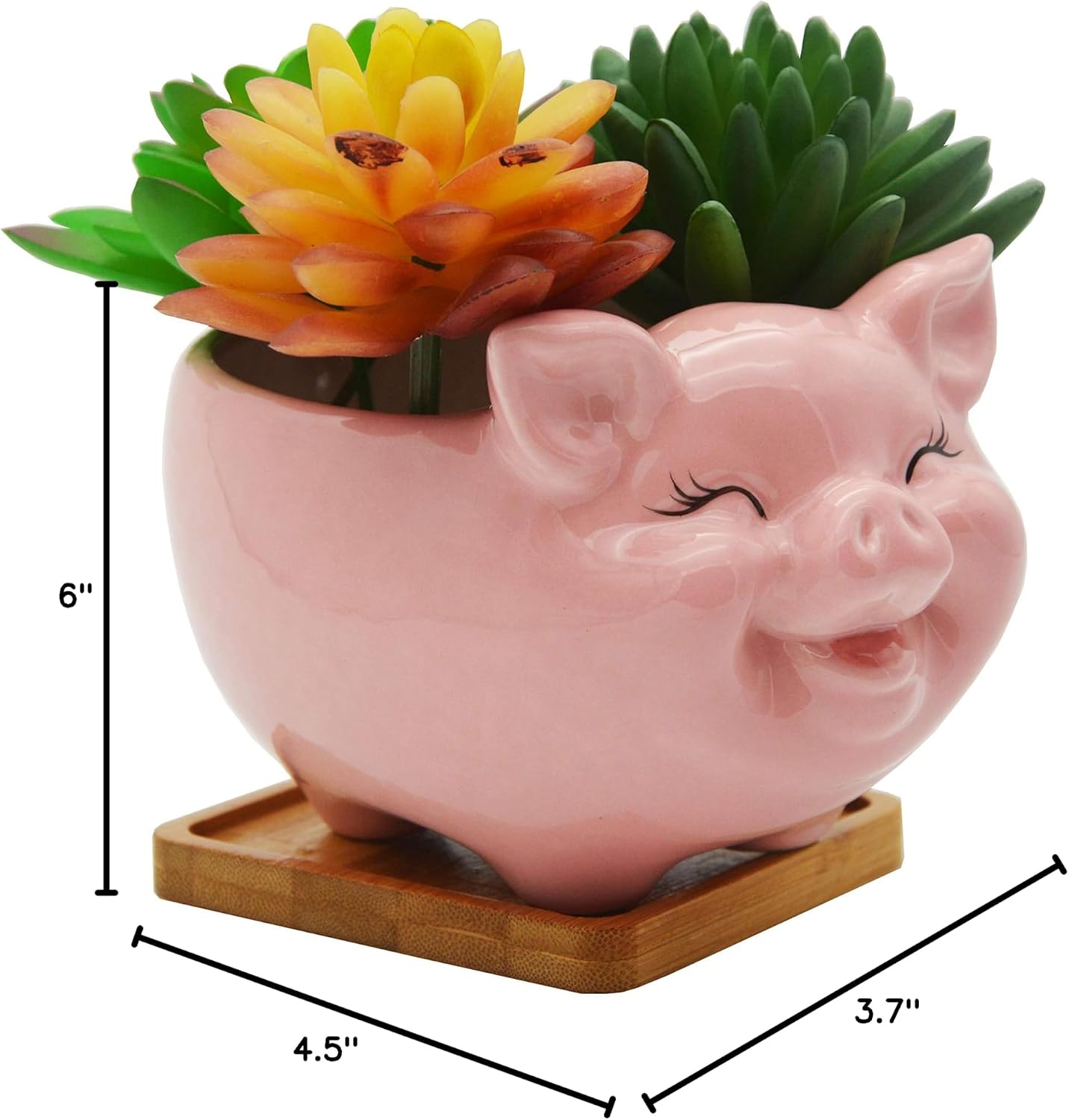 Cuteforyou Succulent Pots,Cute Animal Shaped Cartoon Ceramic Succulent Cactus Flower Planters -Plant Not Included，Cat