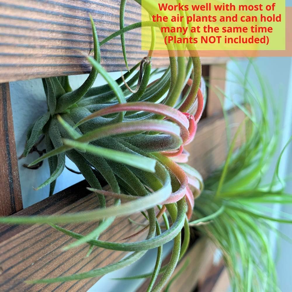 ShopLaLa Wall Planter (60cm, 2 Pack) Hanging Planters for Indoor Plants