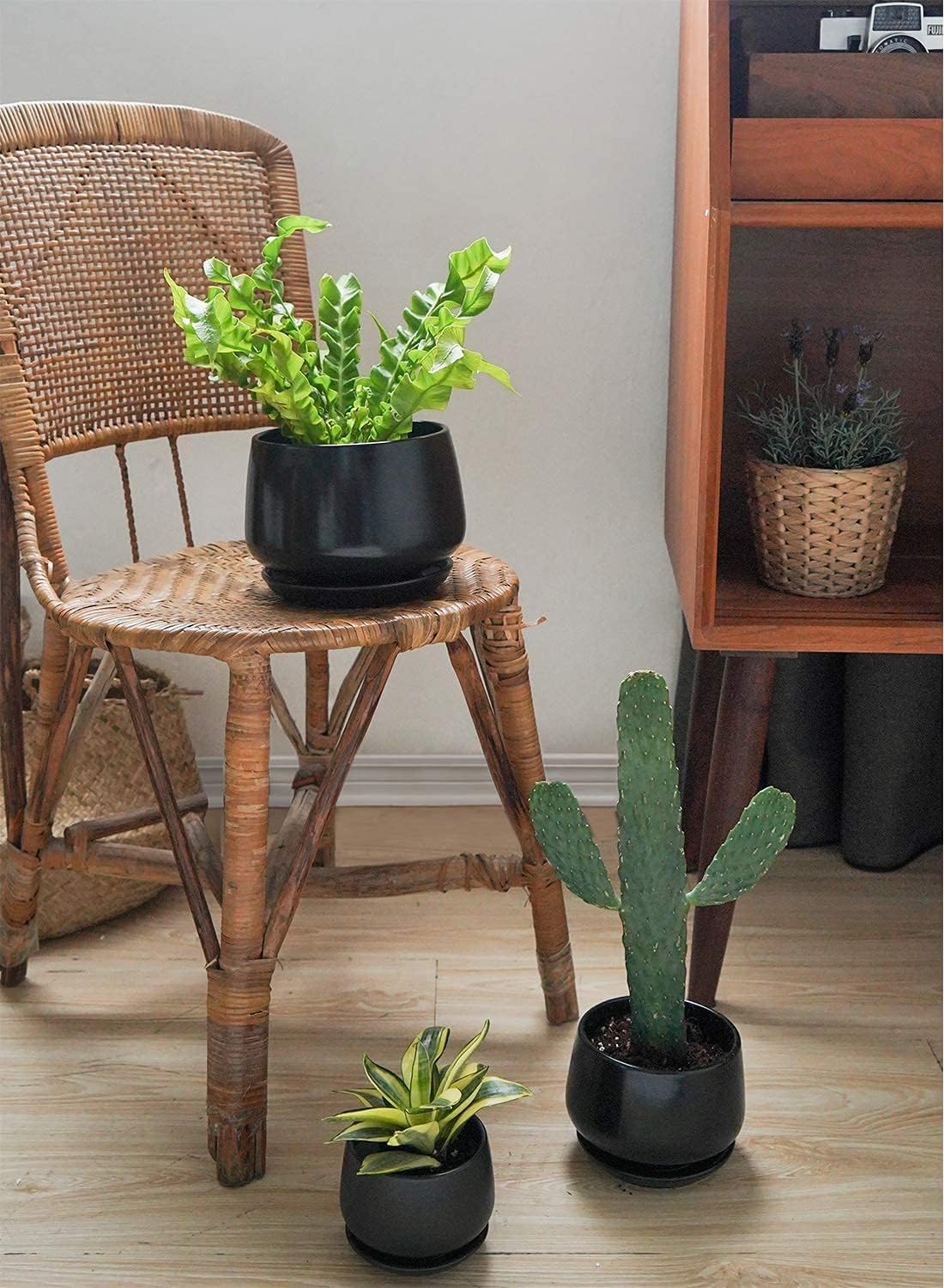 LE TAUCI Plant Pots, 4.1+5.1+6.5 inch, Set of 3, Ceramic Planters with Drainage Hole and Saucer, Indoor Flower Pot with Hole Mesh Pad, Gifts for Mom