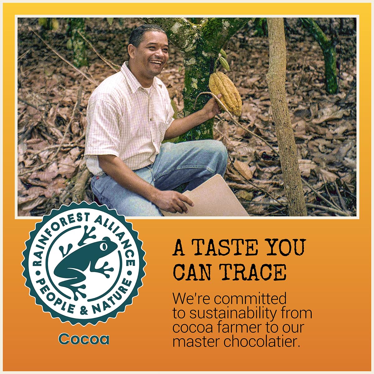 Chocolove Salted Caramel Chocolate Bars | 55% Cocoa | Silky Caramel with a Hint of Salt | Made with Premium Chocolate | Non-GMO, & Gluten-Free, 3.2 oz Bar (10 Pack)