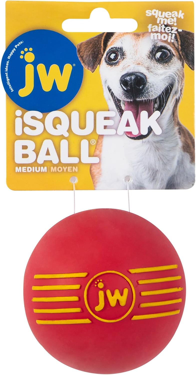 JW Squeak-ee Ball Puppy Toy | Water Resistant Design.