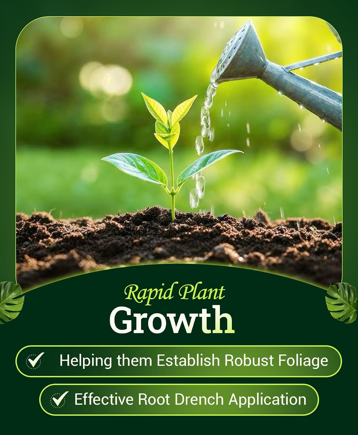 Bush Doctor Wholly Mackerel Fish Fertilizer - Organic Liquid Fertilizer Supports Vigorous Growth, Designed for Fast Nutrient Uptake - 3-1-0 Formula, Ideal for In-Ground & Container Garden - 1 Pint