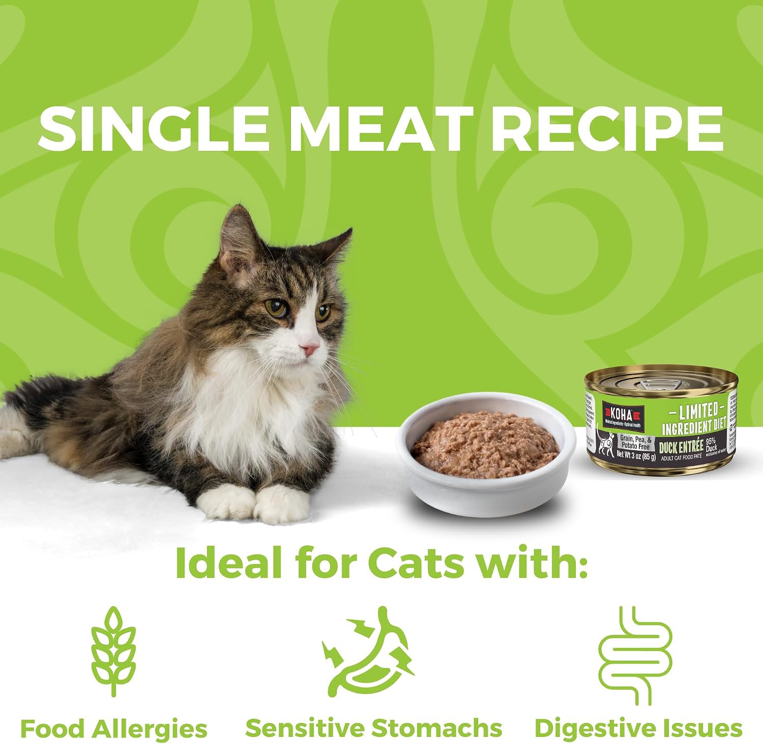 KOHA Limited Ingredient Diet Kangaroo Pate for Cats, 5.5 oz Pack of 24 | Single meat protein, sensitive stomach formula, no fillers, wet cat food, made in USA