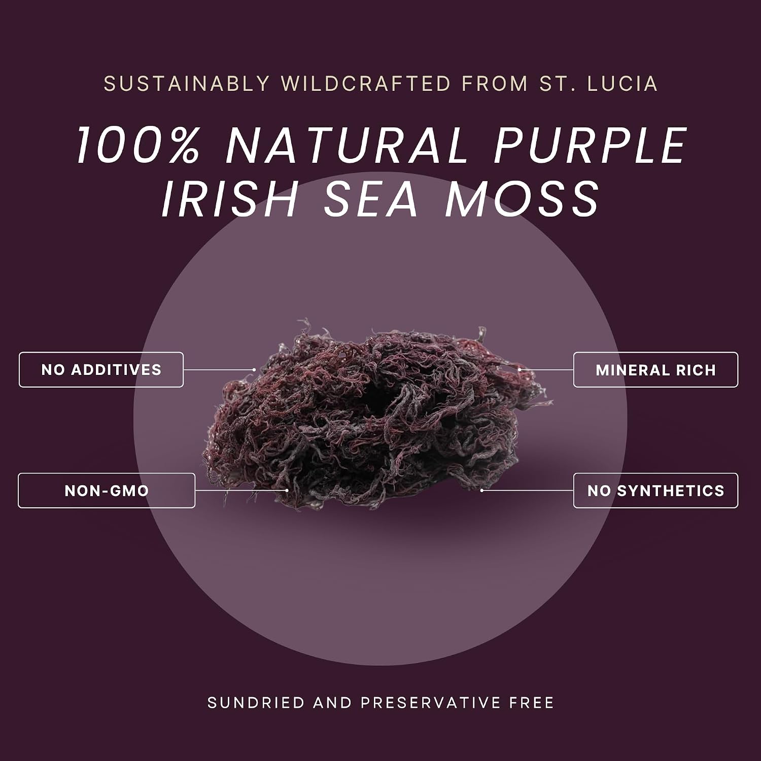 Raw Wildcrafted Purple Sea Moss 4oz, St. Lucia Seamoss, Natural Ocean Harvested Whole Purple Moss