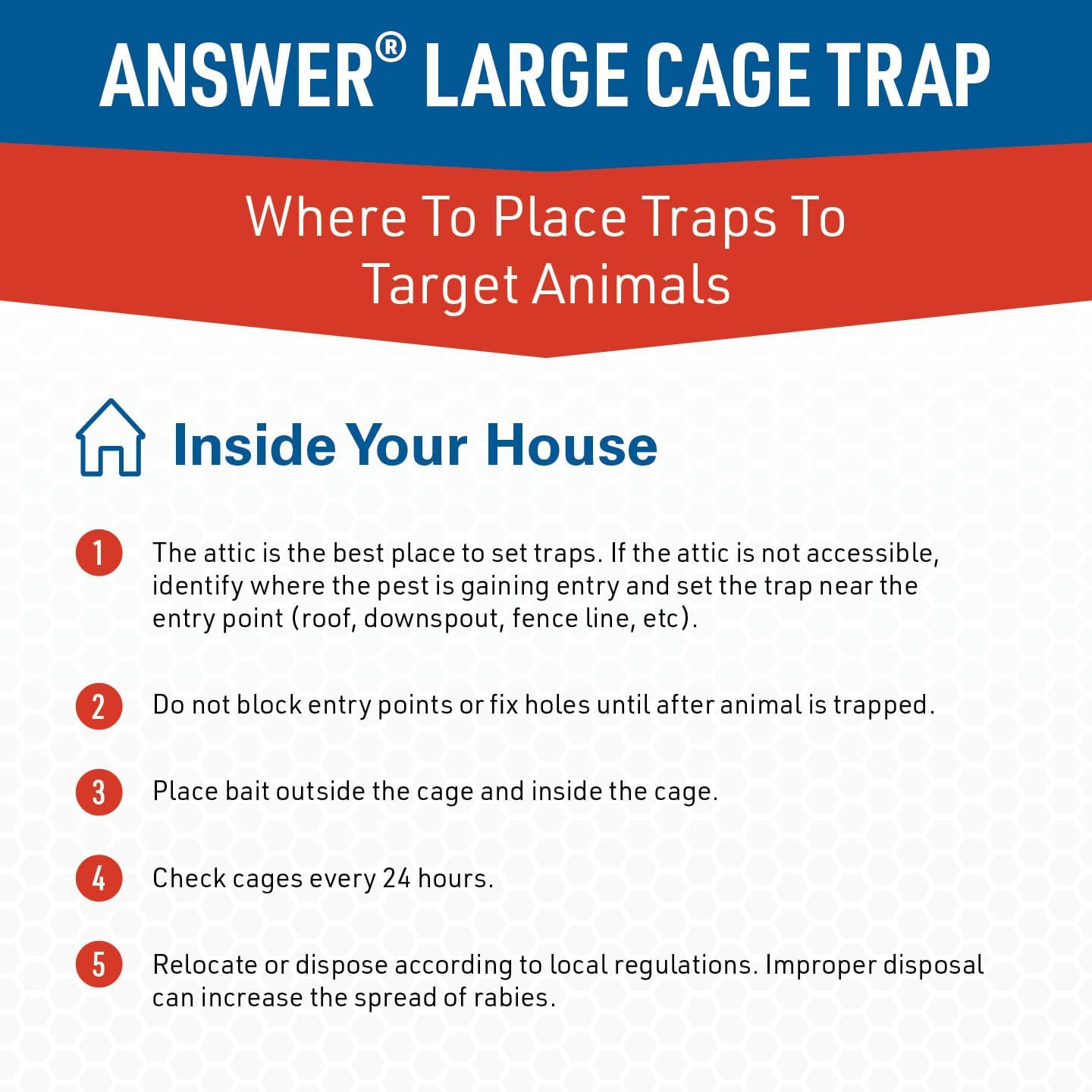 JT Eaton Answer Humane Live Catch Trap for Coyotes & Large Pests | Heavy-Duty Cage Trap; Catches Coyotes, Foxes, and Armadillos; Galvanized Wire; Humane Catch and Release