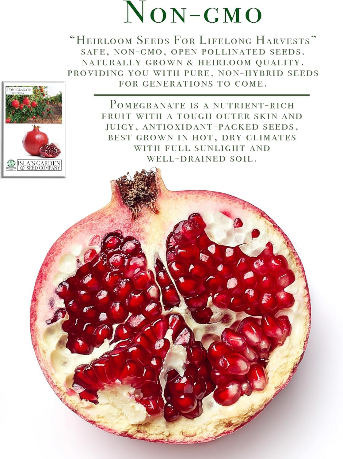 Pomegranate Tree Seeds (Punica granatum) – 30+ Non-GMO Fruit Tree Seeds for Planting, Beautiful Ornamental Tree with Sweet Edible Fruit