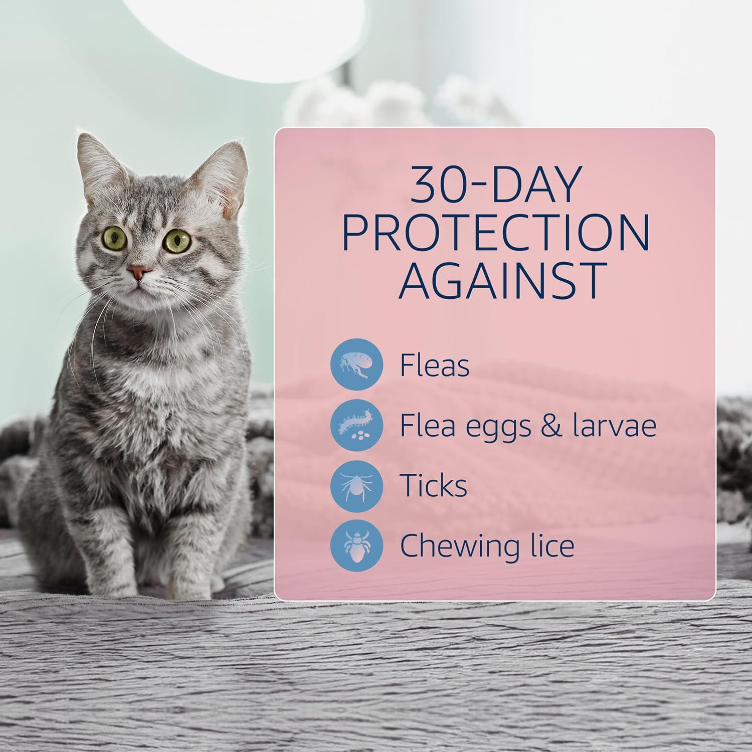 Catego Flea and Tick Prevention for Cats - Over 1.5 lbs, 3 Month Supply | No Prescription Required, Cat Flea Treatment Topical Drops, Fast Acting Flea & Tick Control Drops, Easy to Apply