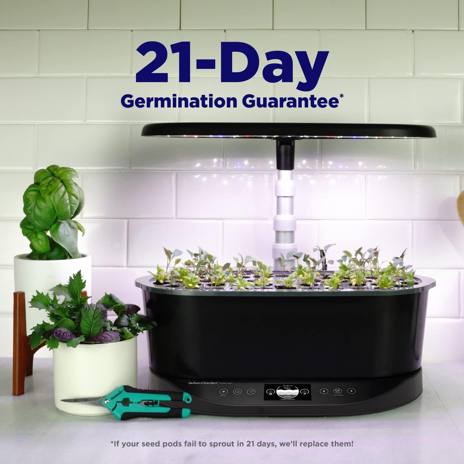 AeroGarden Bounty Basic, Black | Indoor Garden with LED Grow Light