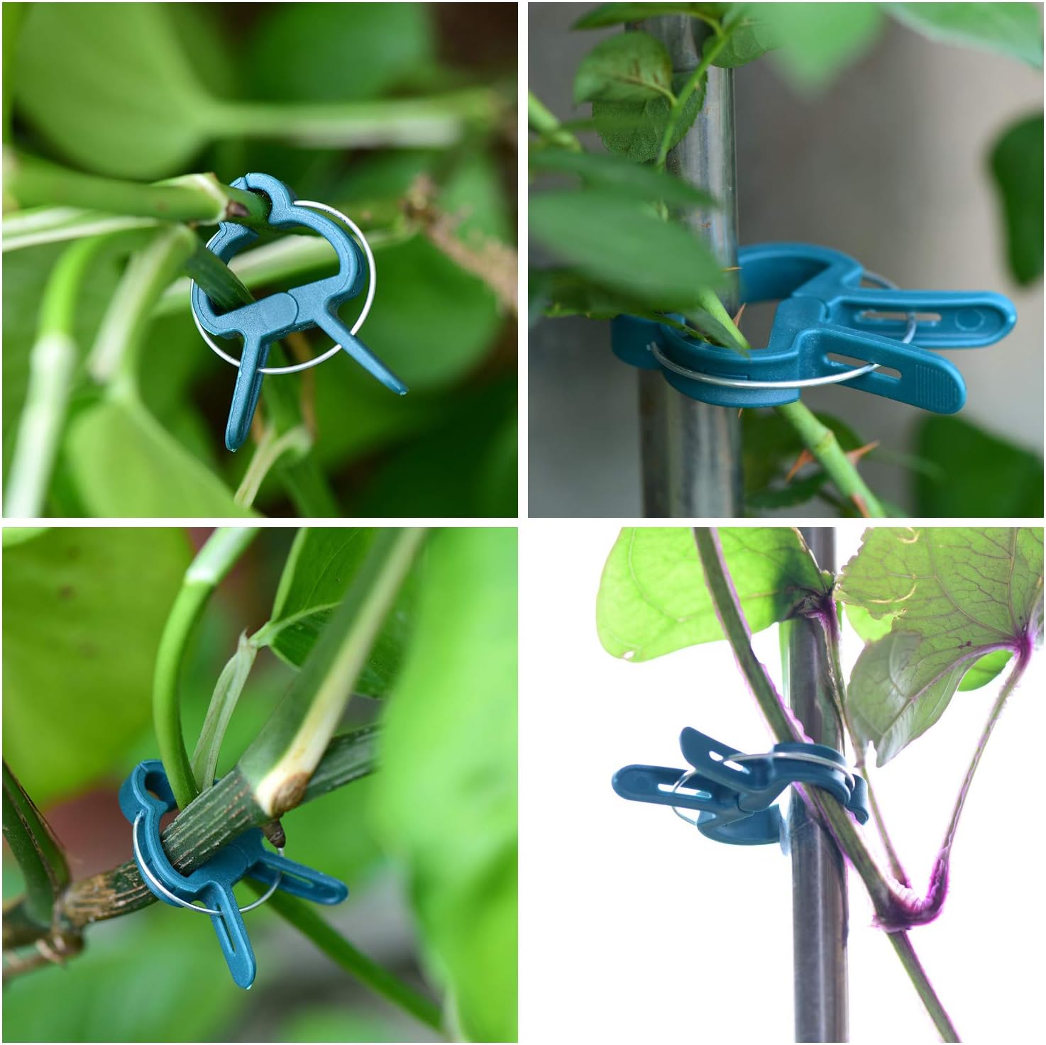 PERSZEN 60PCS Plant Clips 2 Sizes Adjusting Reusable Garden Plant Supports Clips for Supporting Stems of Flower Vine Vegetables Tomatoes Climbing