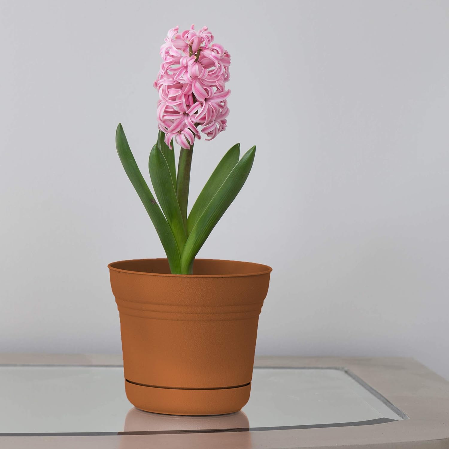 Bloem Saturn Planter with Saucer, 10", Calypso (SP1027)