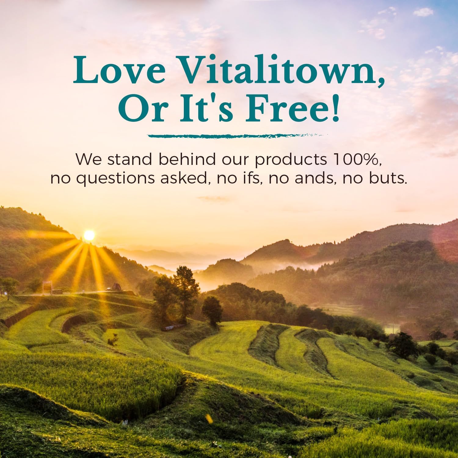 VITALITOWN Probiotics 120 Billion CFUs | 36 Strains