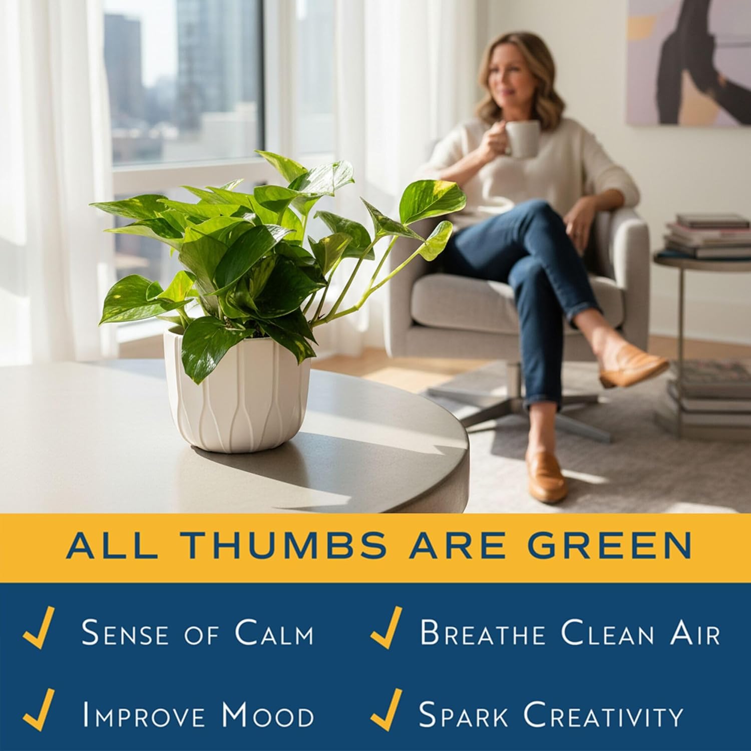Costa Farms Golden Pothos, Live Indoor Plant, Trailing Vine, Air Purifying | Fast-growing trailing vine, one of the easiest to grow. Great indoor houseplant. Ideal housewarming or birthday gift.