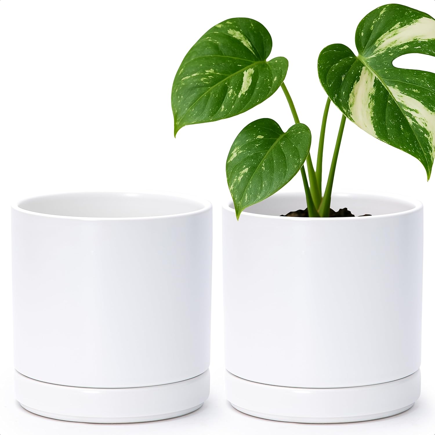 D'vine Dev 2-Pack Ceramic Pots with Saucers, White/Grey, 4.7 in, 94-V-B-6