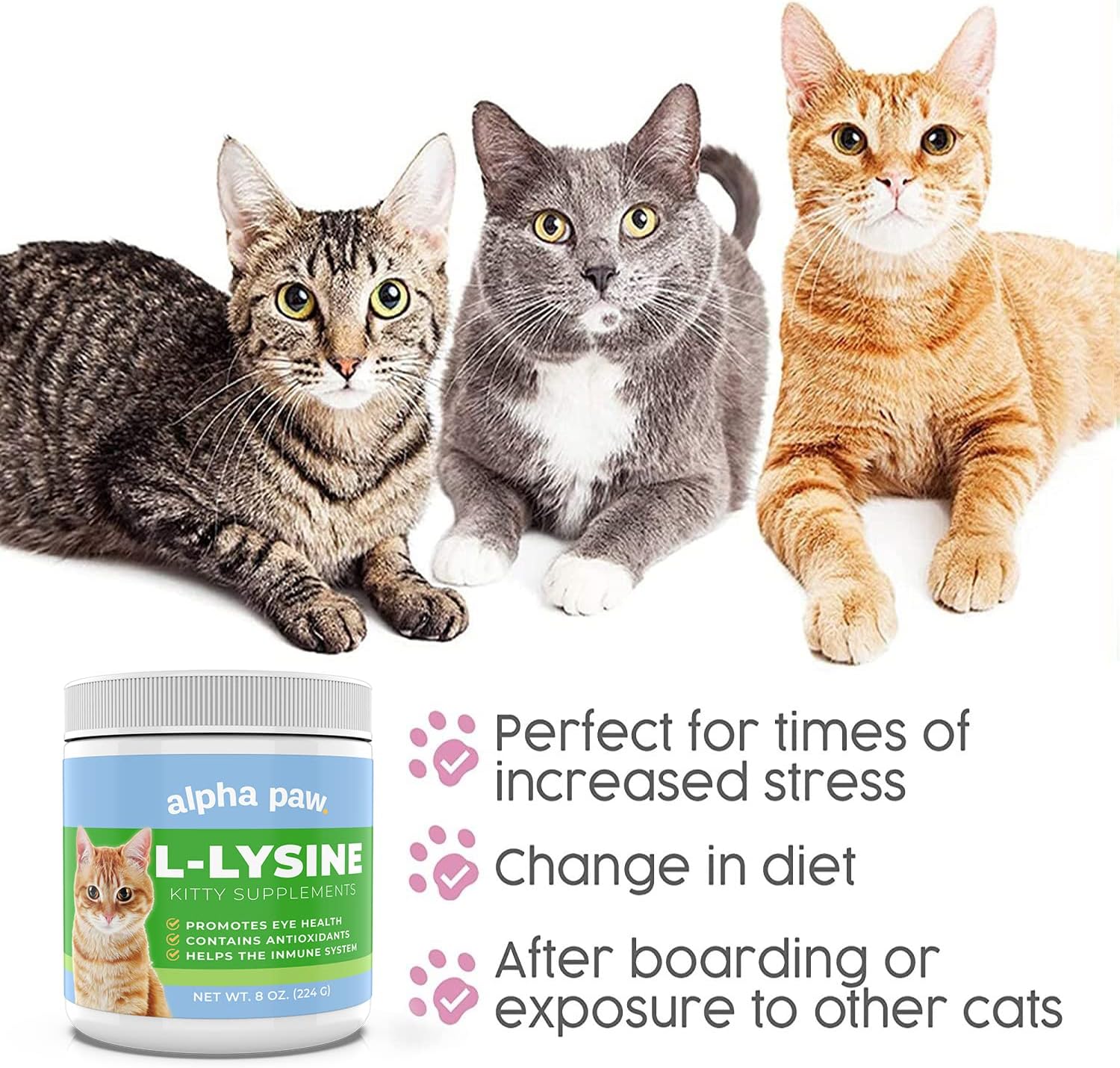 Alpha Paw - Human Grade for Pets - Cat Lysine Supplement - Extra Servings 5-10 Month Supply - Natural Lysine (8 Ounces/227 Grams)