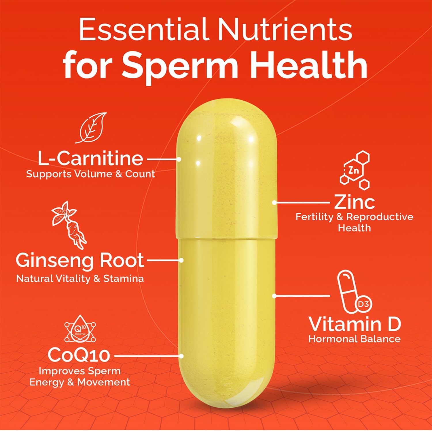 CONCEIVE PLUS Motility Support for Men, Male Fertility Supplement with L Carnitine, CoQ10 and Zinc, 60 Capsules