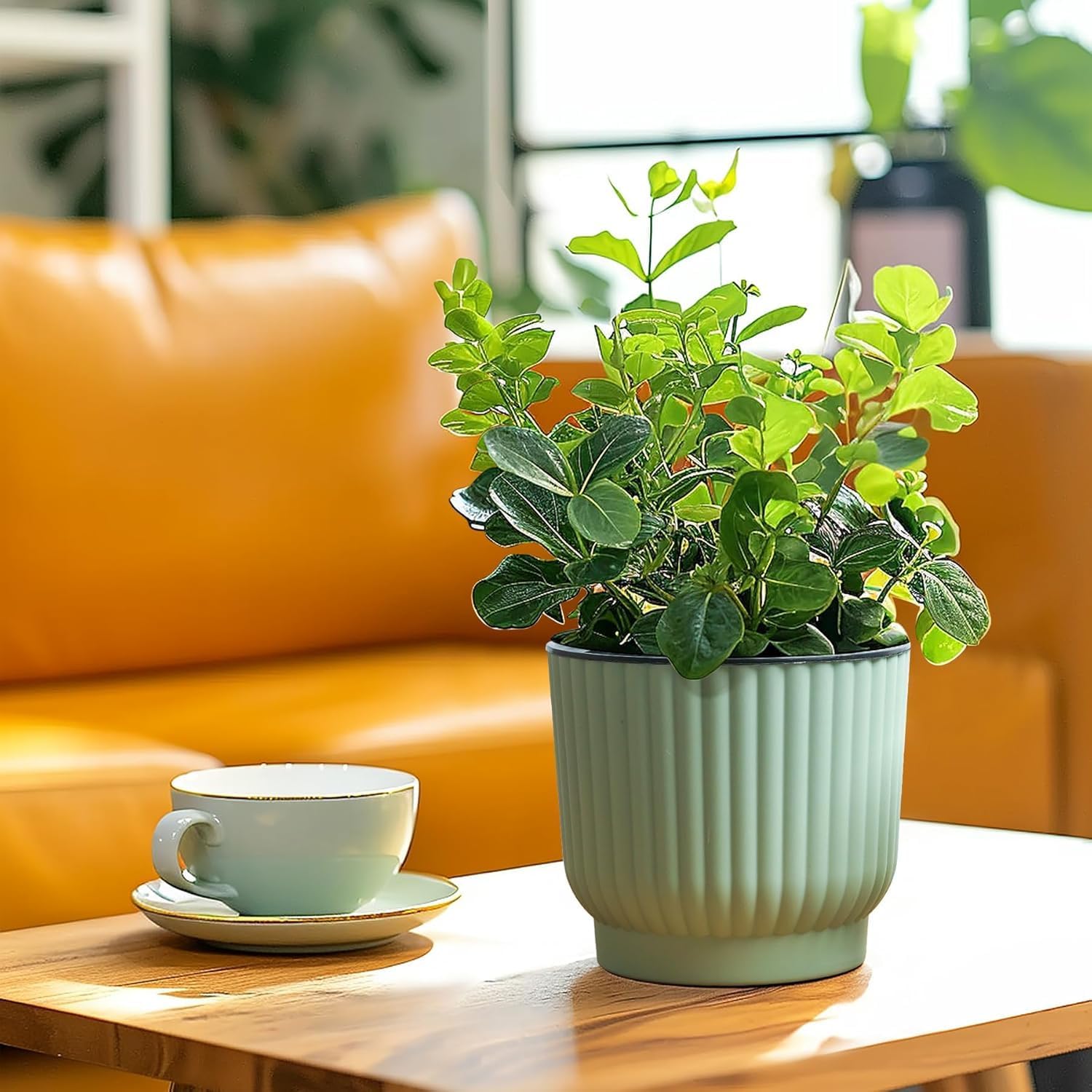 T4U Self Watering Pots for Indoor Plants, 4 Inch 6 Pack Planter White