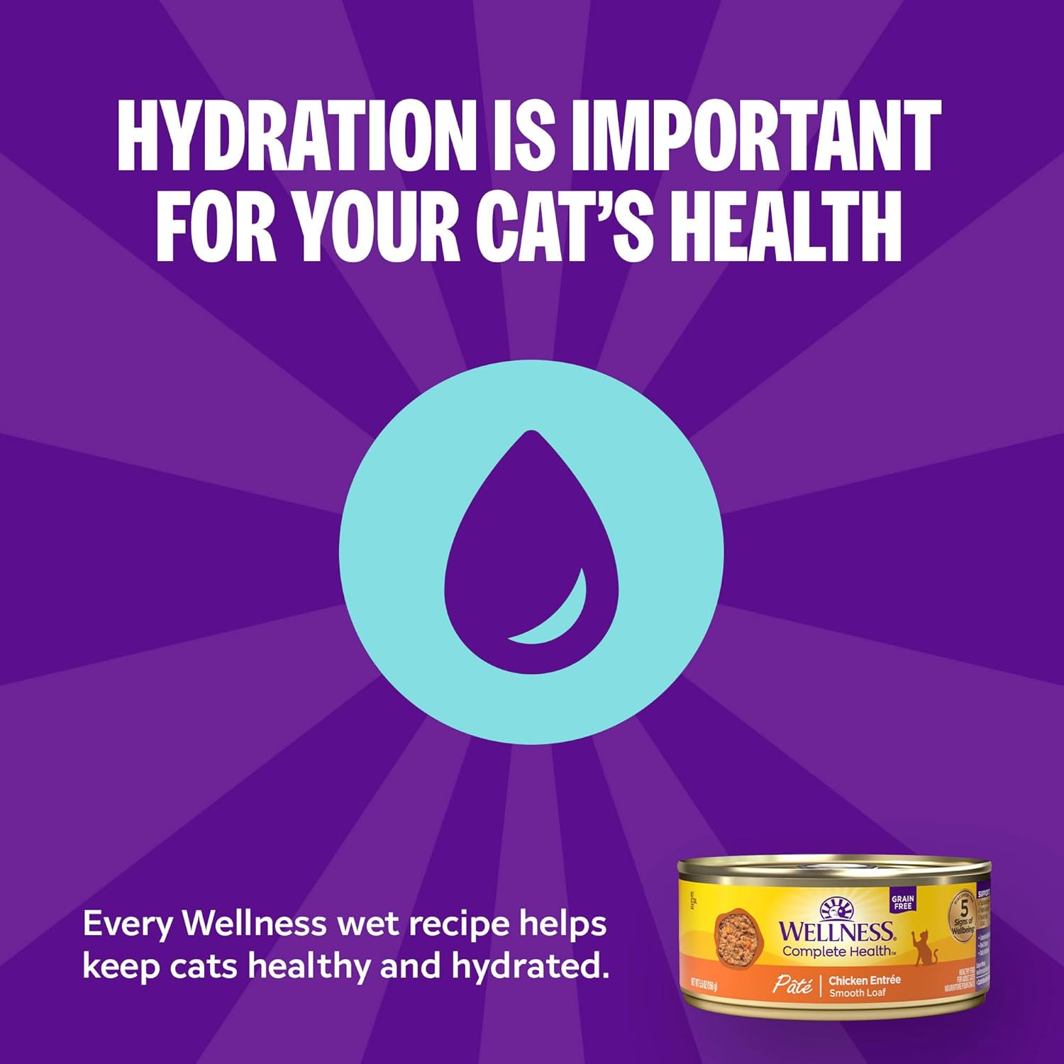 Wellness Complete Health Pate Variety Pack Adult Canned Wet Cat Food, Natural, Protein Rich, Grain Free, Chicken and Turkey Favorites, 3 oz