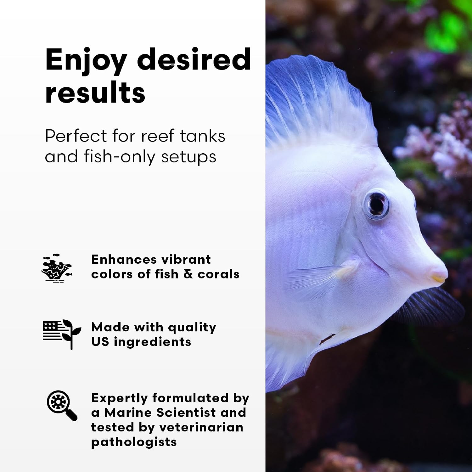 Brightwell Aquatics Replenish Trace Elements for Reef Aquariums 20L