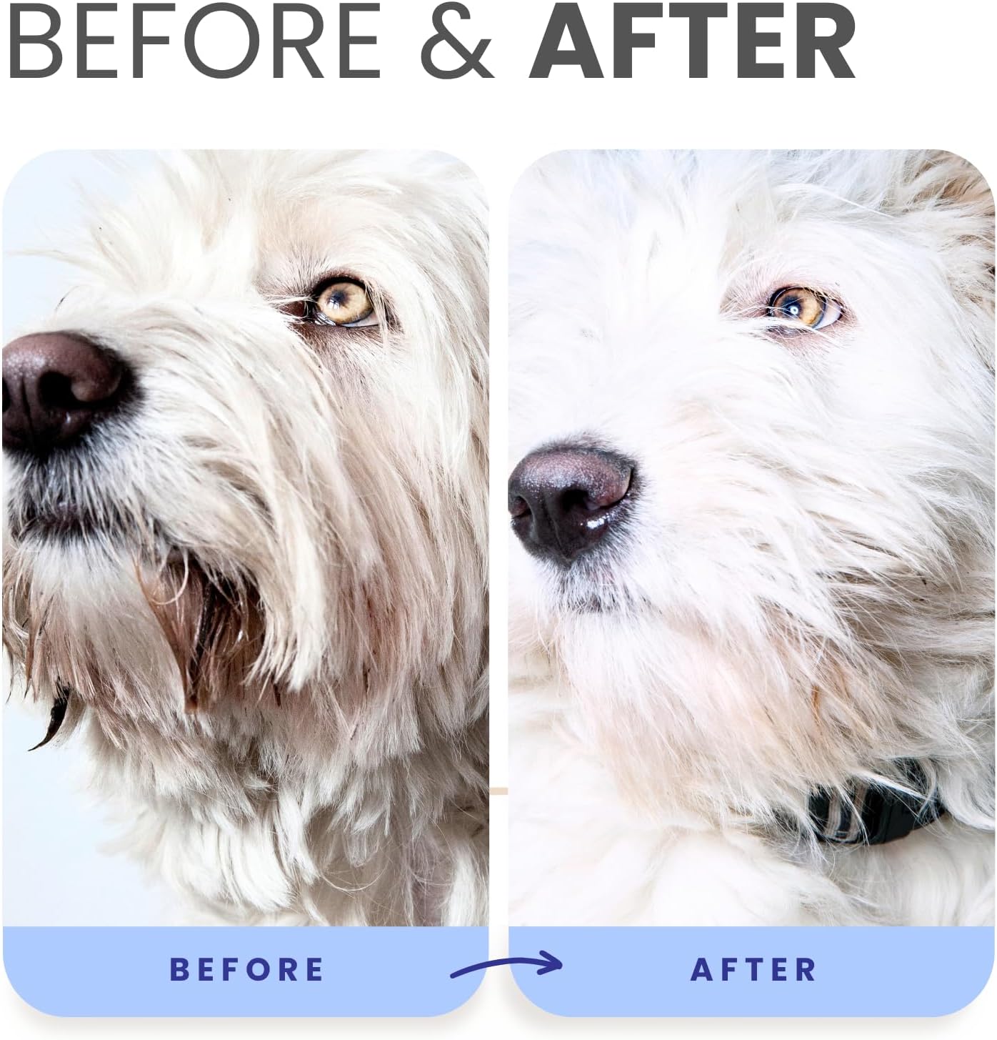 Lillian Ruff PRO Formula Berry Blue Brightening Pet Shampoo - Ultra-Hydrating Professional Whitening Dog Shampoo, Vivid Show-Quality Coat Enhancer, Tear Stain & Odor Eliminator With ProVitamin B5 16oz