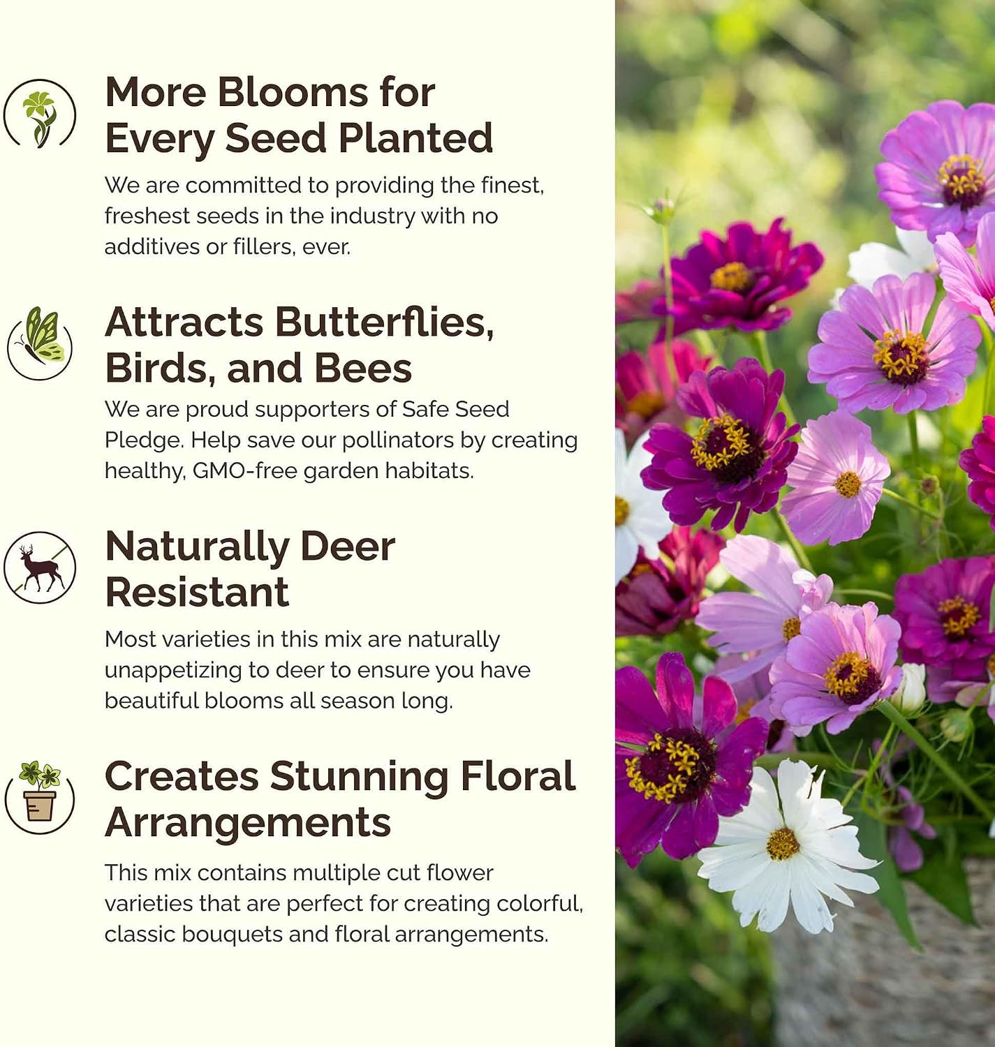 Eden Brothers All Perennial Wildflower Mixed Seeds for Planting, 1 lb, 480,000+ Seeds with Lupine, Shasta Daisy | Attracts Pollinators, Plant in Spring or Fall, Zones 3, 4, 5, 6, 7, 8, 9, 10
