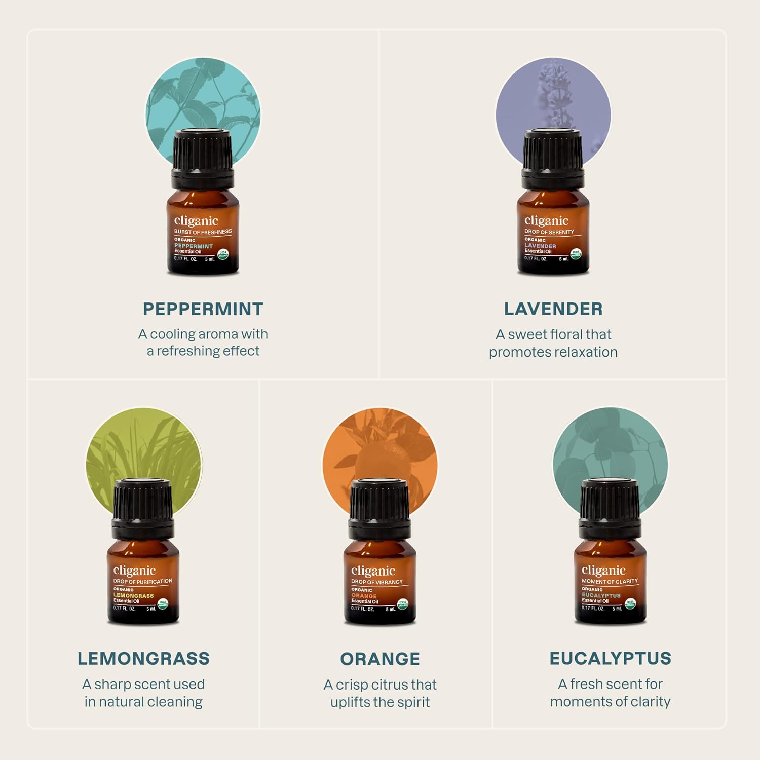 Cliganic Organic Essential Oils Set (Top 5 - The Classics) - 100% Pure Natural - Aromatherapy, Candle Making - Peppermint, Lavender, Eucalyptus