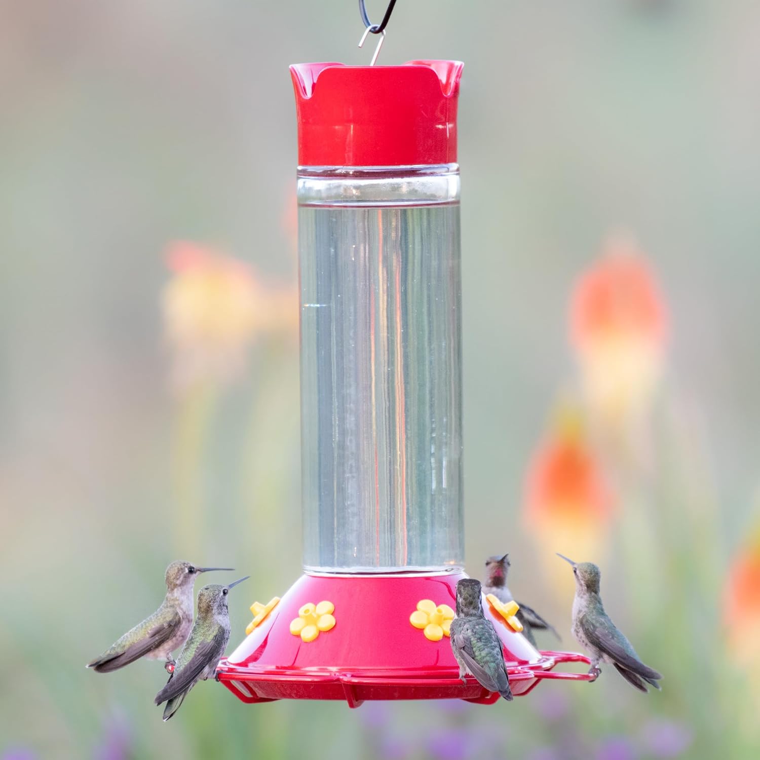 Perky-Pet 209B-1SR Glass Hummingbird Feeders for Outdoors Hanging - 30 fl oz Nectar Capacity - Ant & Bee Guarded Red Bird Feeder