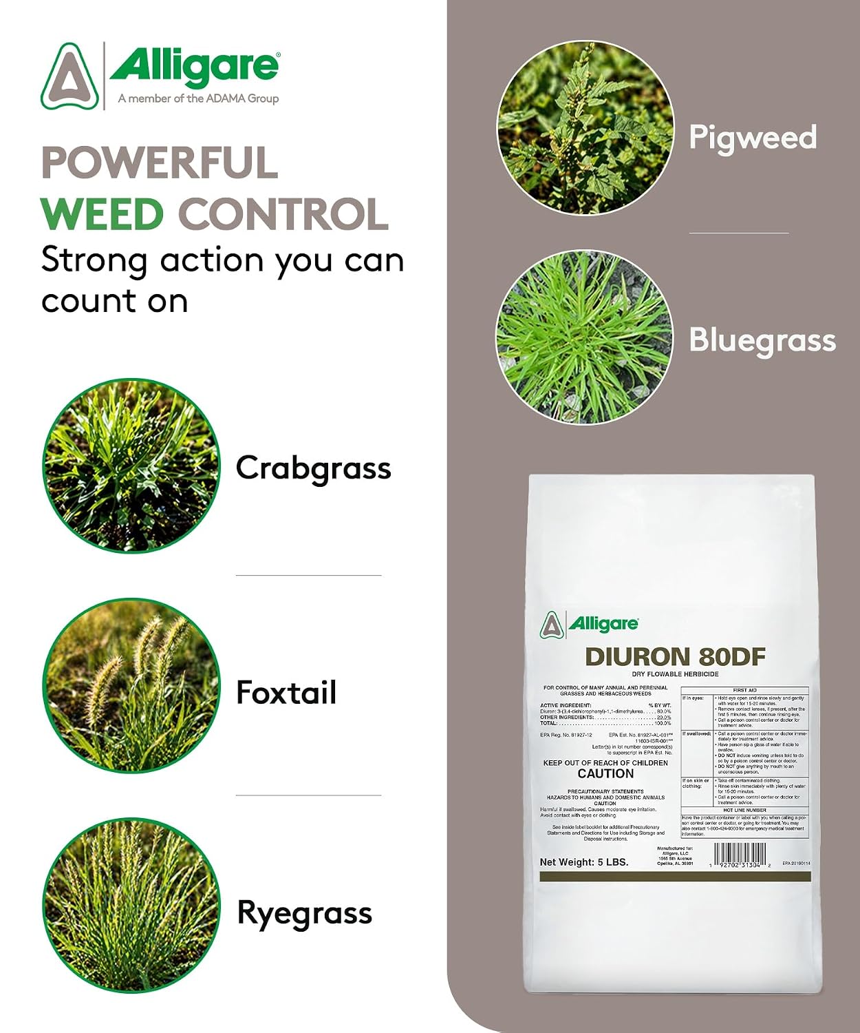 Alligare Diuron 80 DF Herbicide - Pre- & Post-Emergent Weed Killer for Industrial & Non-Crop Areas - Controls Crabgrass, Ryegrass & Broadleaf Weeds - Dry Granules for Ground Application - 5 lb