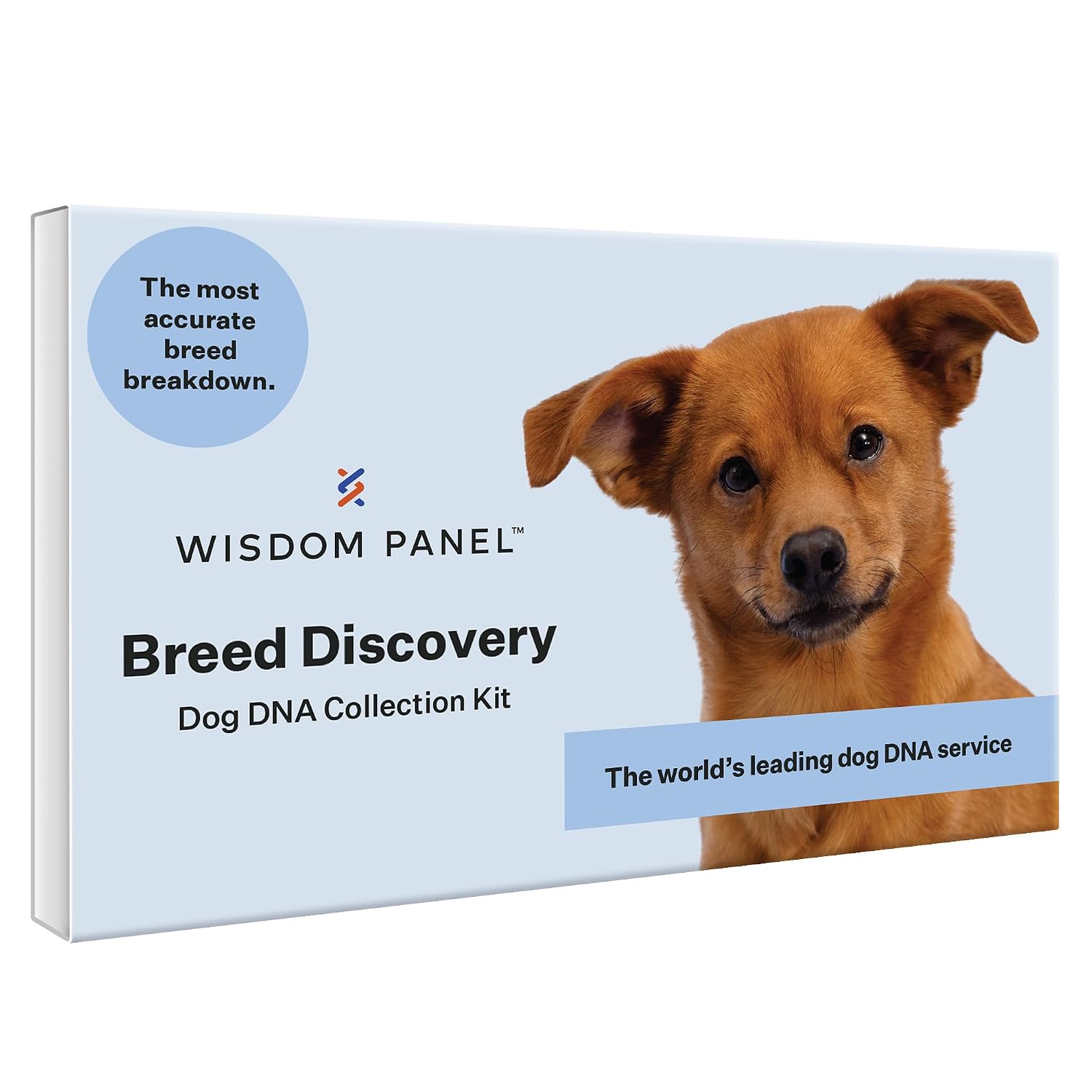 Wisdom Panel Breed Discovery Dog DNA Testing Kit - Most Accurate Dog Breed Identification - Test for 430+ Breeds, MDR1 Health Test, Ancestry