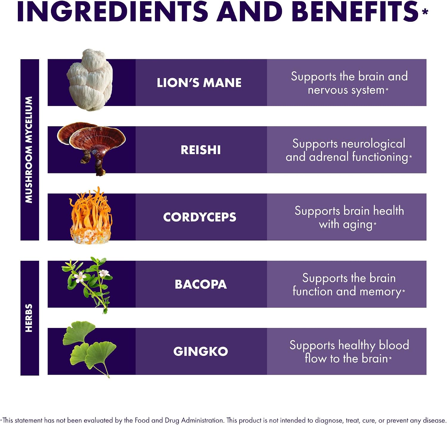 Host Defense MycoBotanicals Brain* Capsules - Brain Support Supplement with Lion's Mane, Reishi & Cordyceps Mushroom - Herbal Supplement for Memory & Focus Support - 60 Capsules
