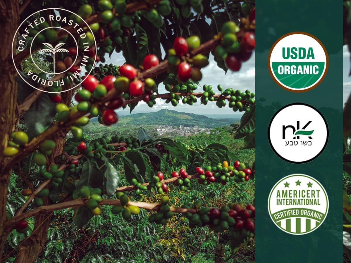 Artizan Coffee USDA Organic Espresso Coffee Capsules For Nespresso Original | Signature Blend Variety | 40 Compatible Compostable Pods