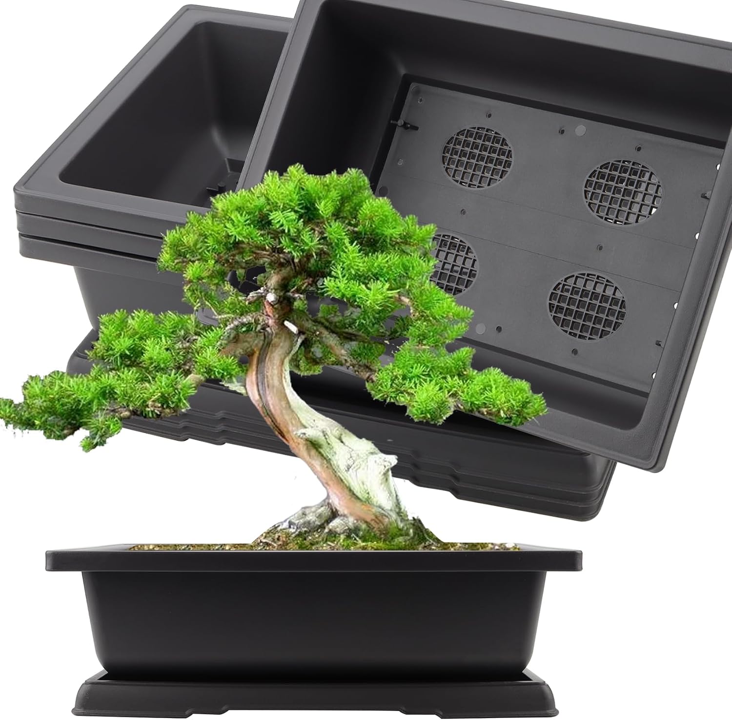 KINJOEK 25 PCS 6.5 Inch Plastic Bonsai Training Pots, Rectangular Plant Bonsai Tree Pot