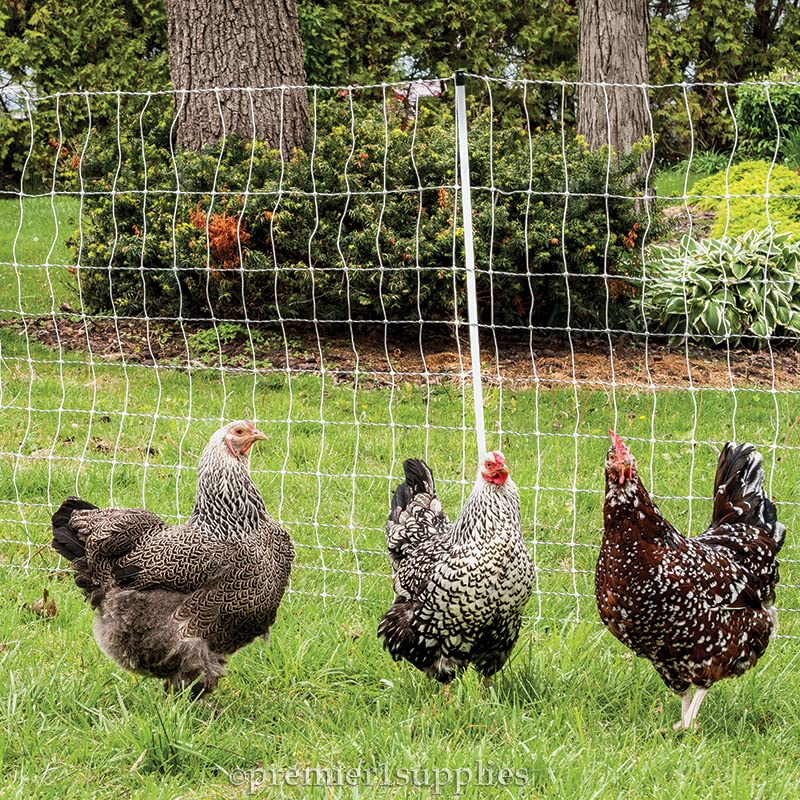 Premier 1 PoultryNet® Plus, Starter Kit for Chickens – 48"H x 100'L | White/black. Includes solar energizer, support posts & tester. Double spike
