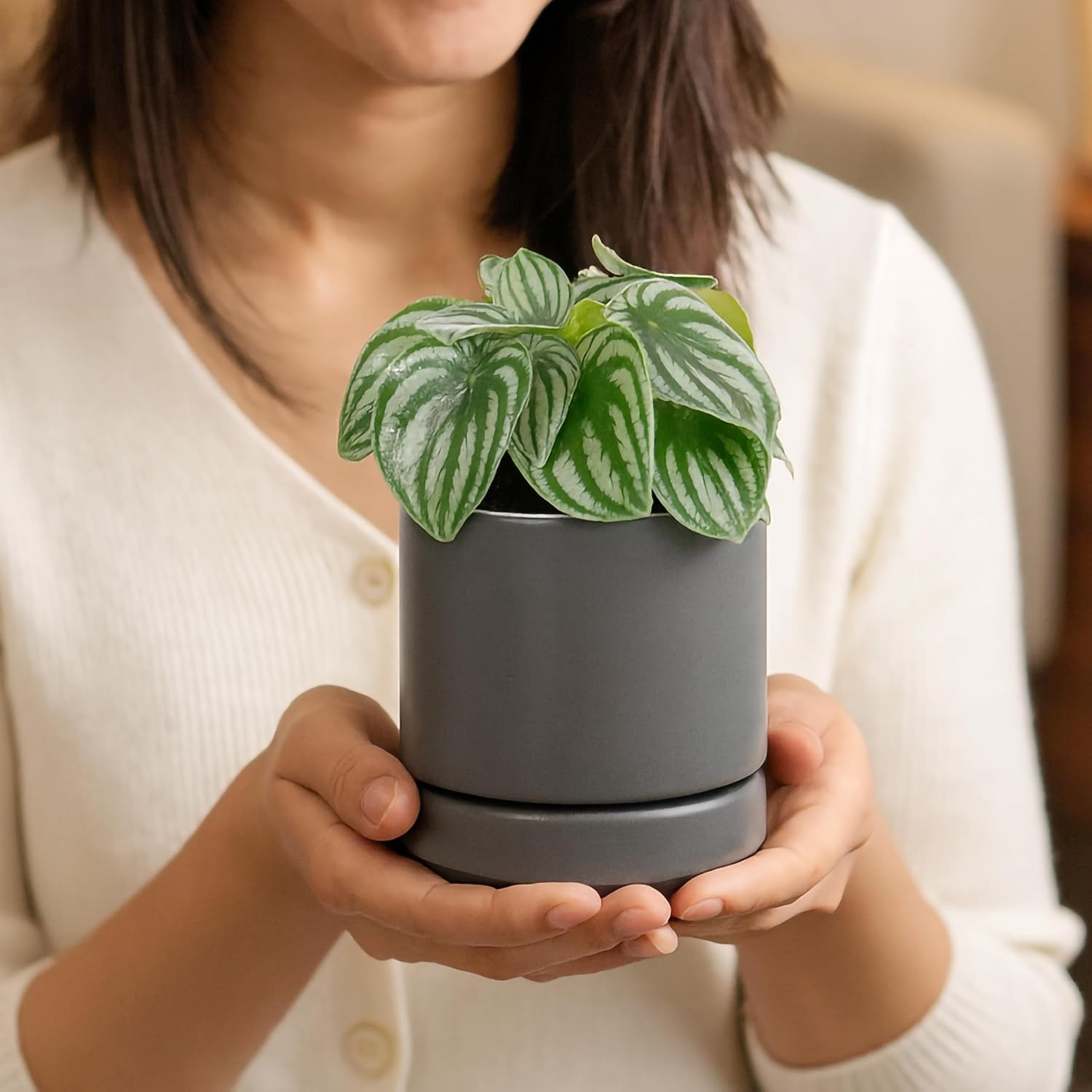 D'vine Dev 2-Pack Ceramic Pots with Saucers, White/Grey, 4.7 in, 94-V-B-6