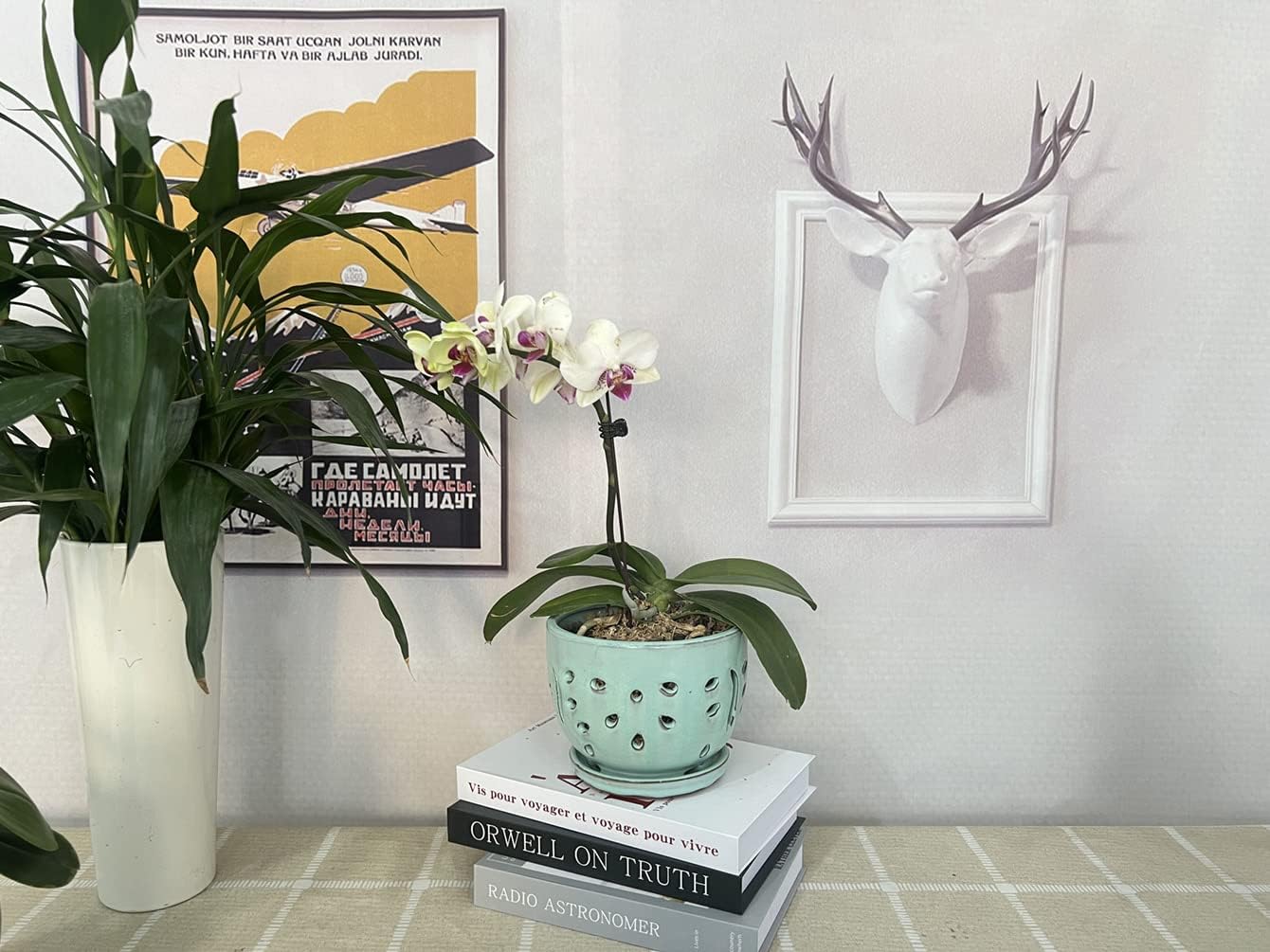 Orchid Pots with Holes Round Ceramic Flower Container Succulent Plant Planter Butterfly Pot Saucer Windowsill Contemporary Home Decoration (6 Inch