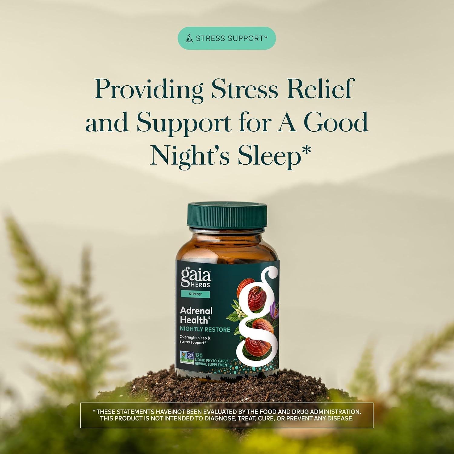 Gaia Herbs Adrenal Health Nightly Restore - Herbal Supplement with Ashwagandha, Magnolia Bark, Cordyceps, Lemon Balm & More* - 120 Vegan Liquid Phyto-Caps (60 Servings)
