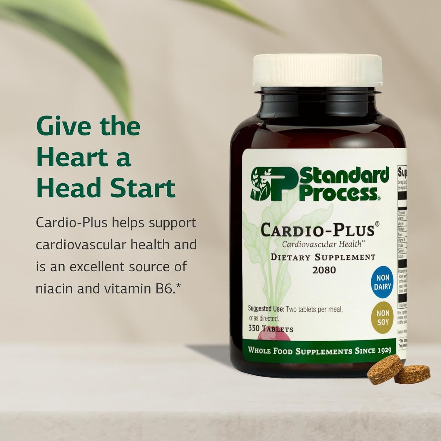 Standard Process Cardio-Plus - Antioxidant Support - Heart Health, Circulation & Blood Flow Supplement with Vitamin B6, Niacin & Riboflavin - Energy Metabolism Supplement - 90 Tablets