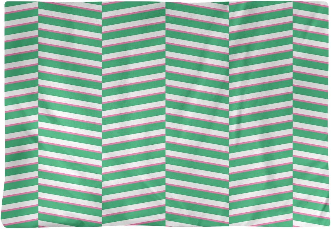 Dana Strider Two Color Fractured Stripes Table Placemat, 18 x 14, Green & Pink