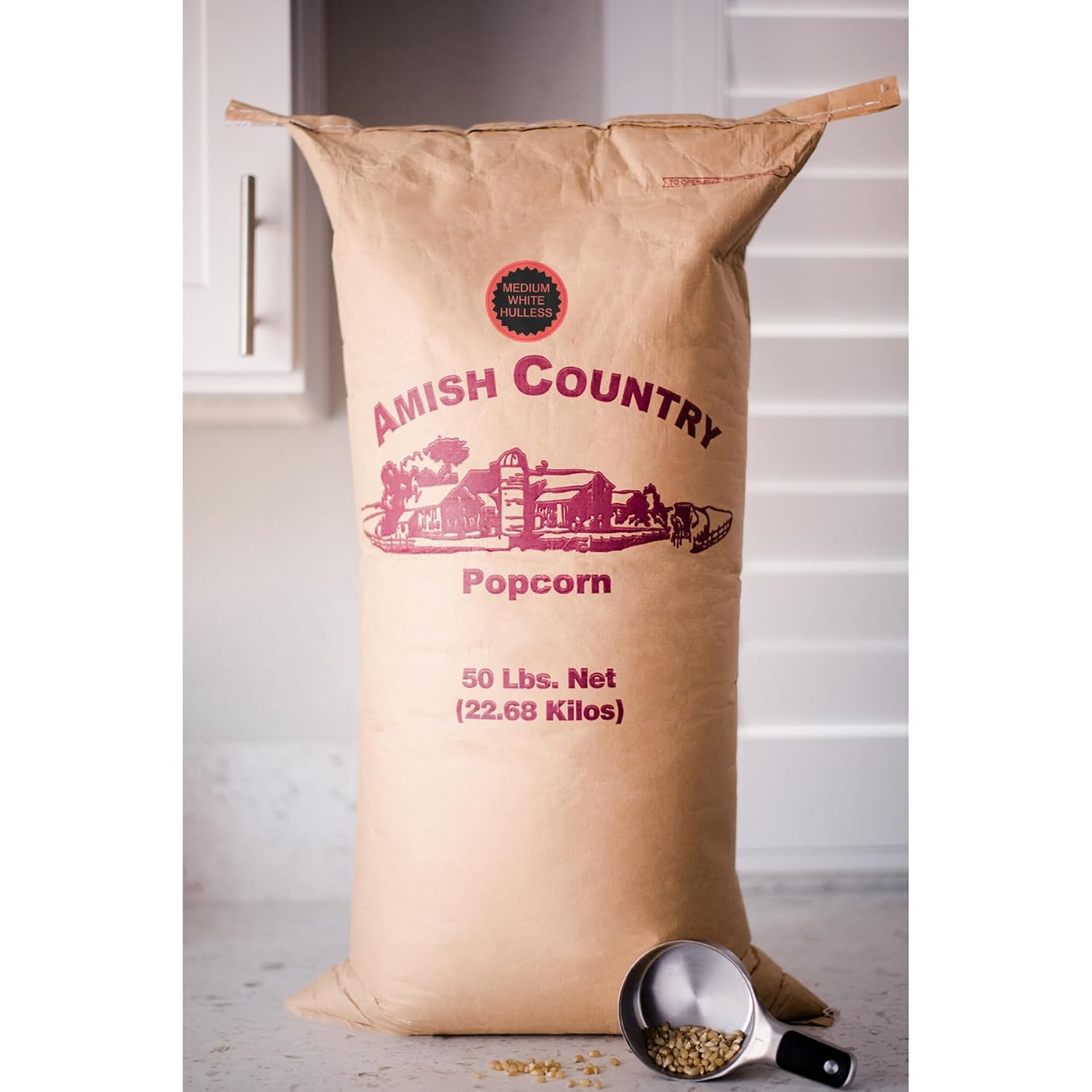 Amish Country Popcorn | 6 lb Bag | Medium White Popcorn Kernels | Old Fashioned, Non-GMO and Gluten Free (Medium White - 6 lb Bag)