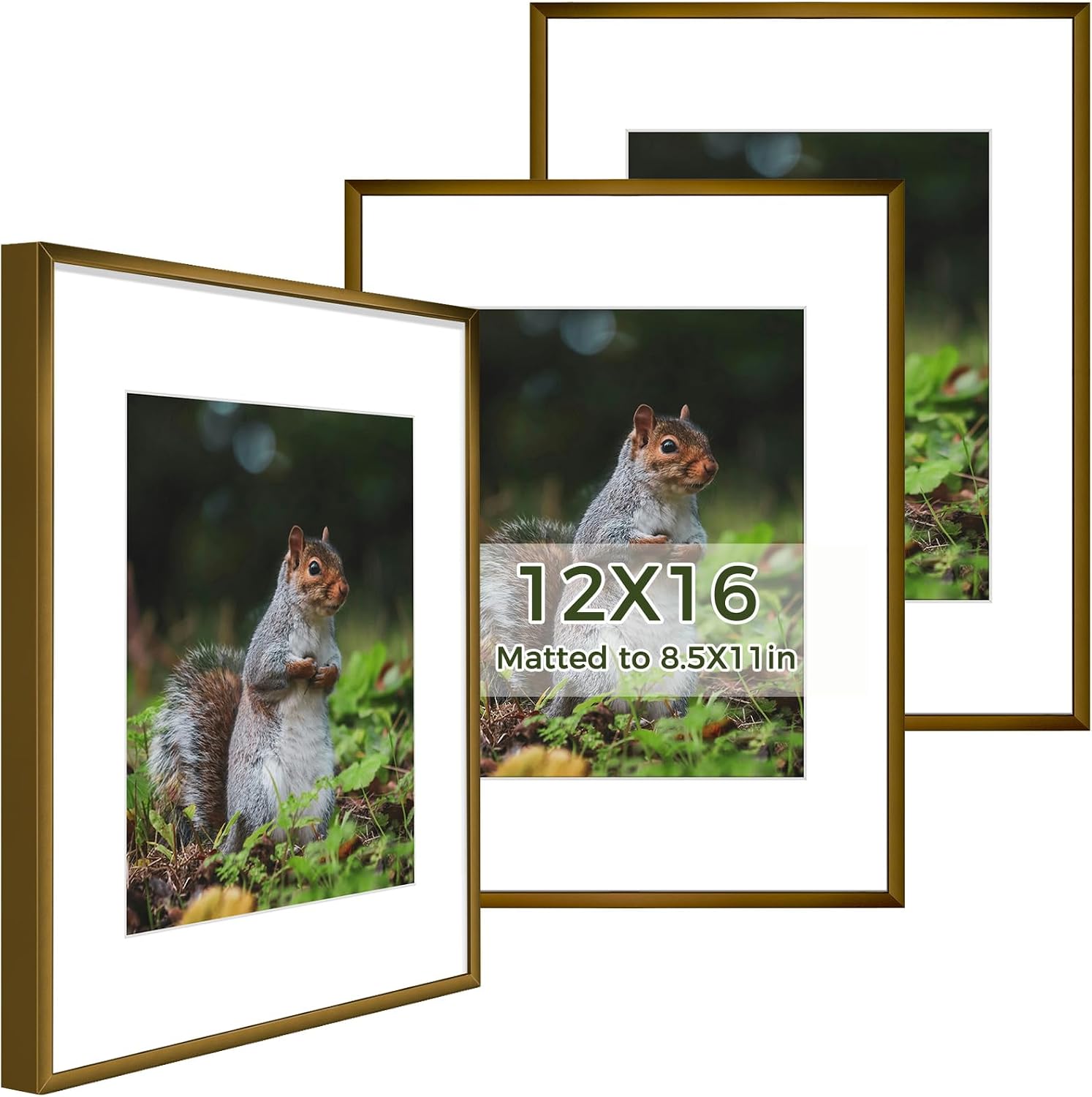 Golden State Art 3 Pack 12x12 Black Aluminum Frames, Real Glass Fronts