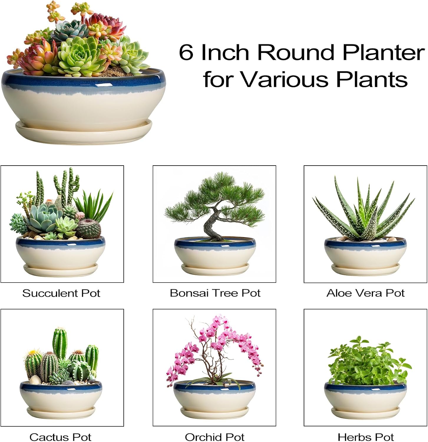 SQOWL 7 Inch Round Ceramic Succulent Planter Pot Drip Glazed Shallow Planter with Drainage Bamboo Tray for Indoor Plants