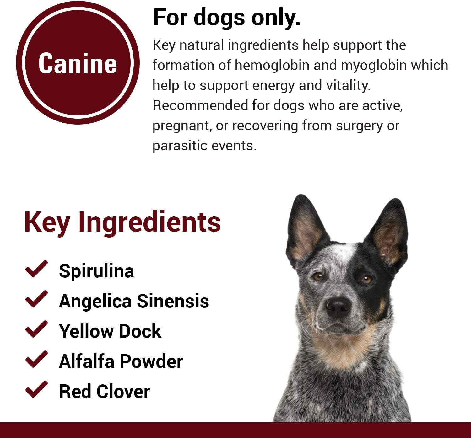 Blood & Energy Dog Supplement – Pet Health Supplement for Dogs – Supports Canine Endurance – Includes Spirulina, Yellow Dock