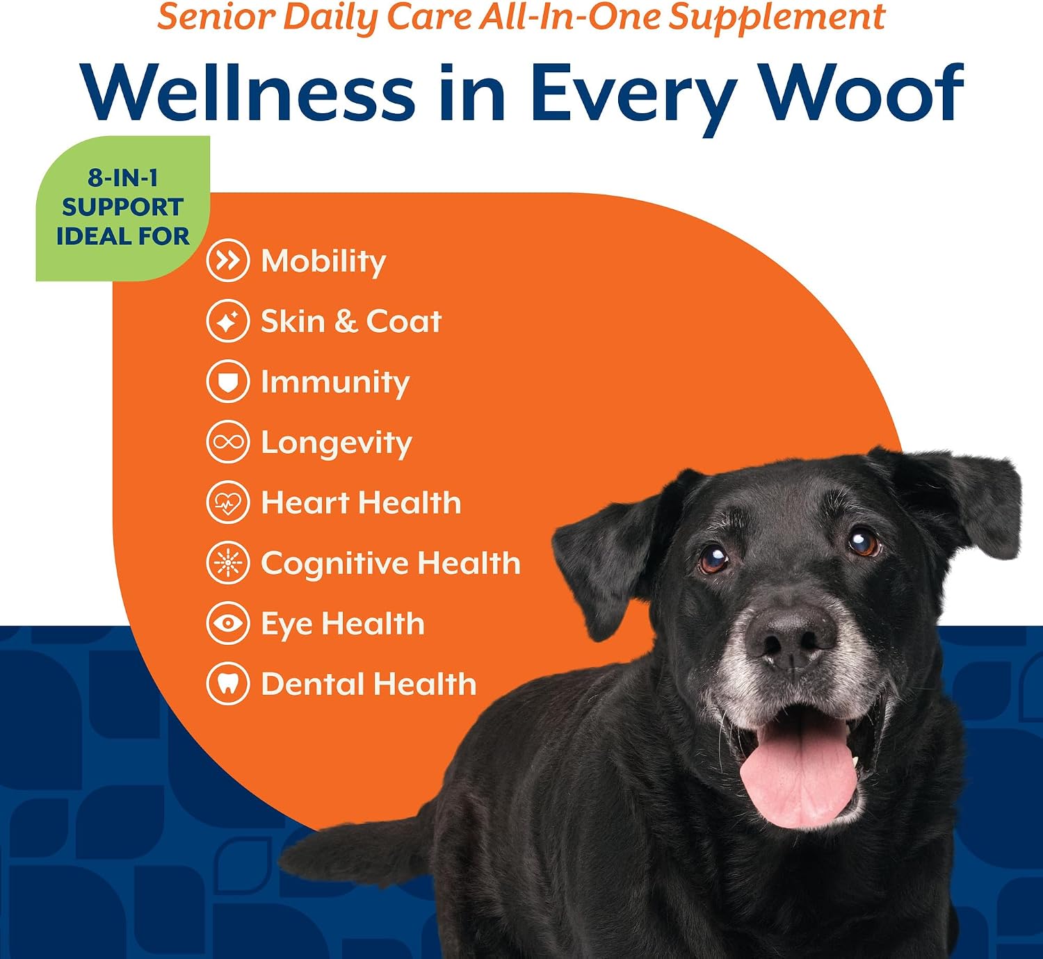 NaturVet All-in-One Cat & Dog Supplement Daily Multivitamin - 13 Oz Powder | Daily Multivitamin for Dogs & Cats - Supports Digestion, Skin & Coat with Omega-3, 6, 9 in a Wheat-Free Formula, 13 Oz Powder