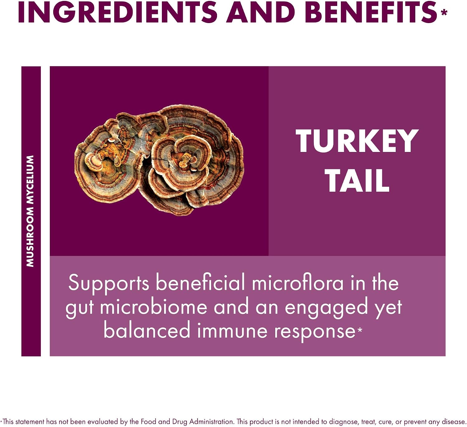 Host Defense Turkey Tail Capsules - Digestive Health & Immune Response Support Supplement - Mushroom Supplement for Gastrointestinal & Gut Microbiome Support - 120 Capsules